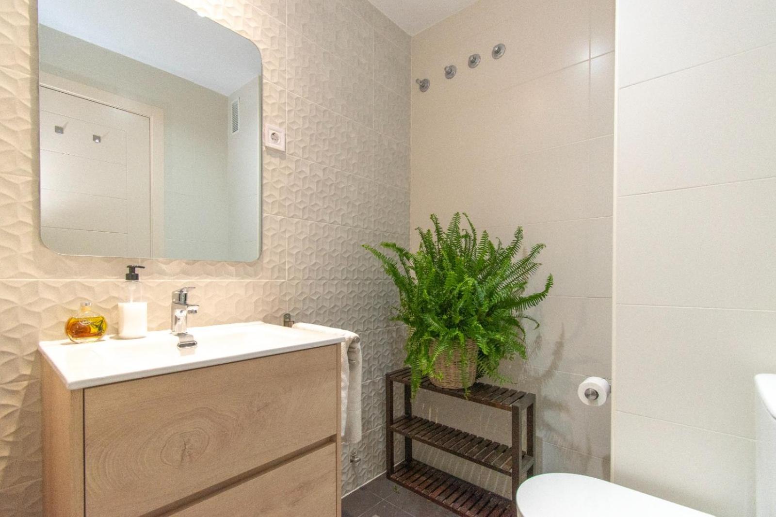 Apartment Alba