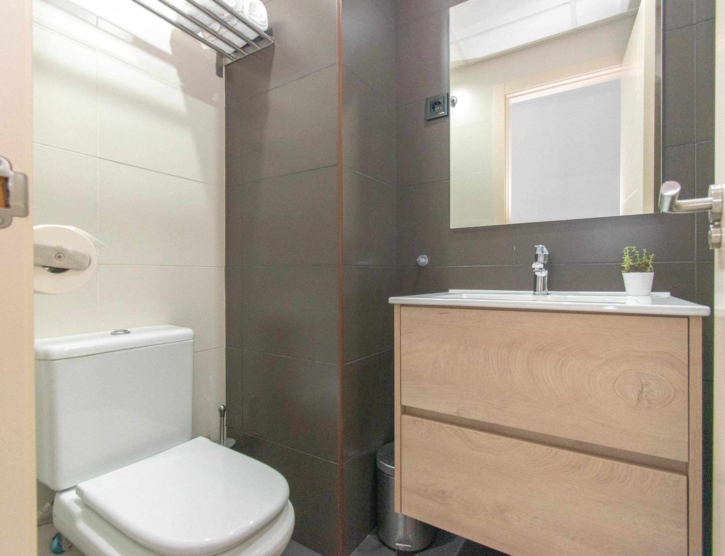 Apartment Alba