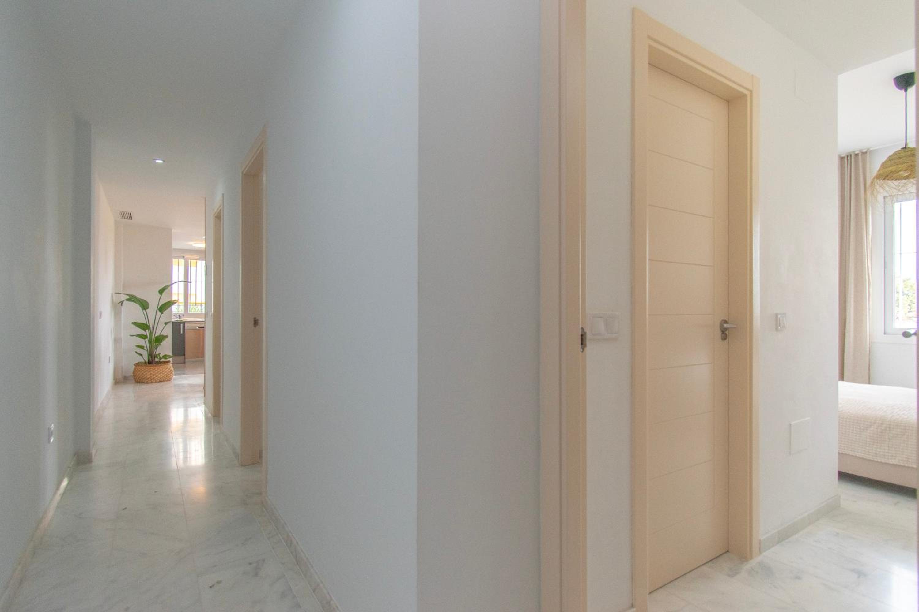 Apartment Alba