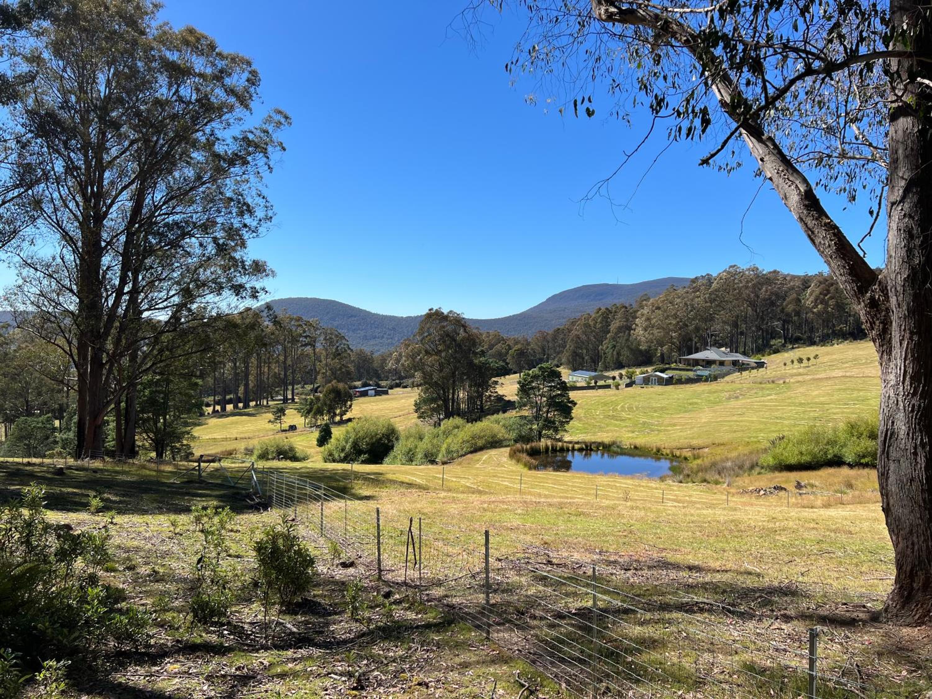 Amaroo with a view set on a 50 Acre Hobby Farm - Property Image 16
