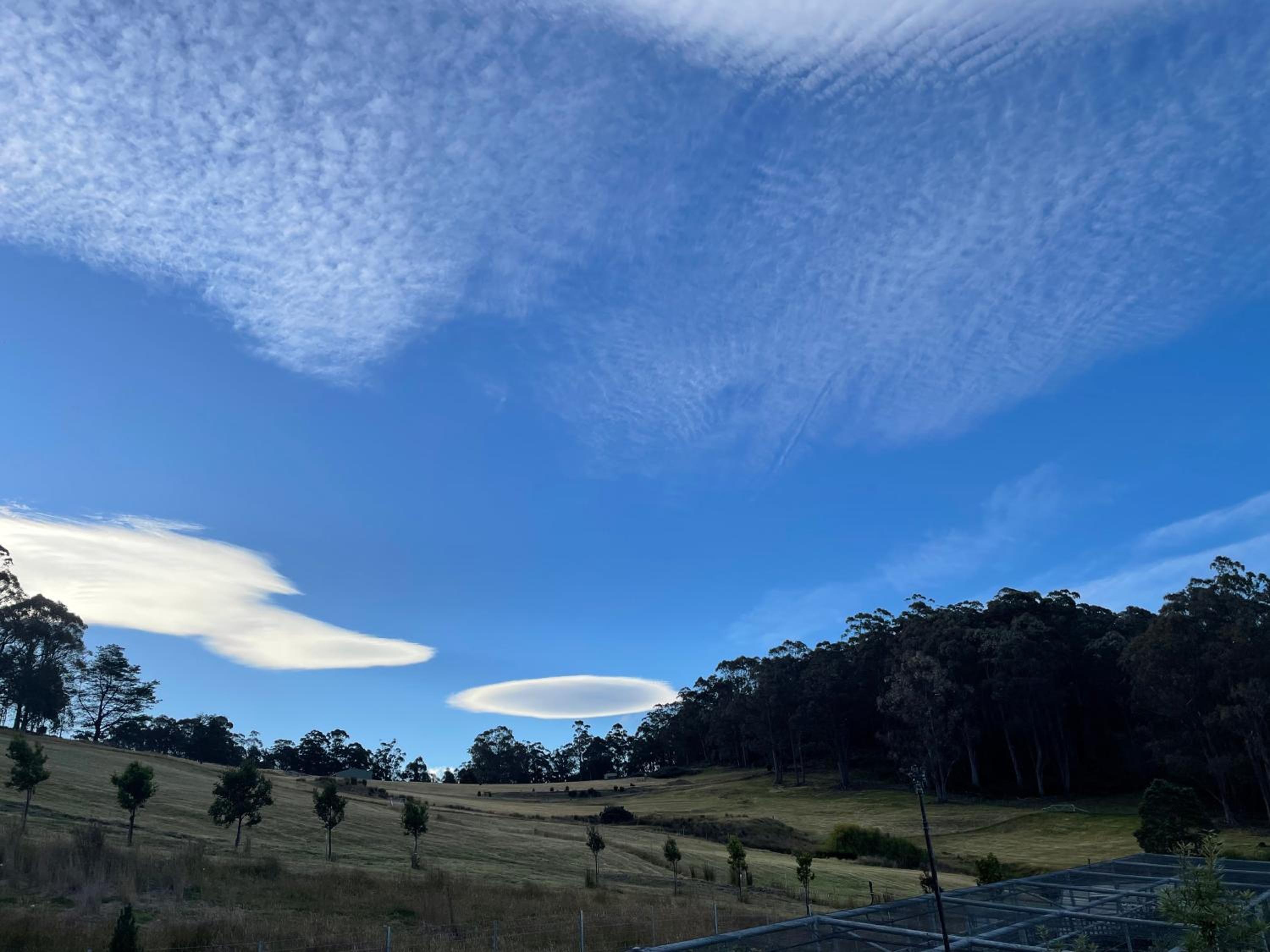 Amaroo with a view set on a 50 Acre Hobby Farm - Property Image 13