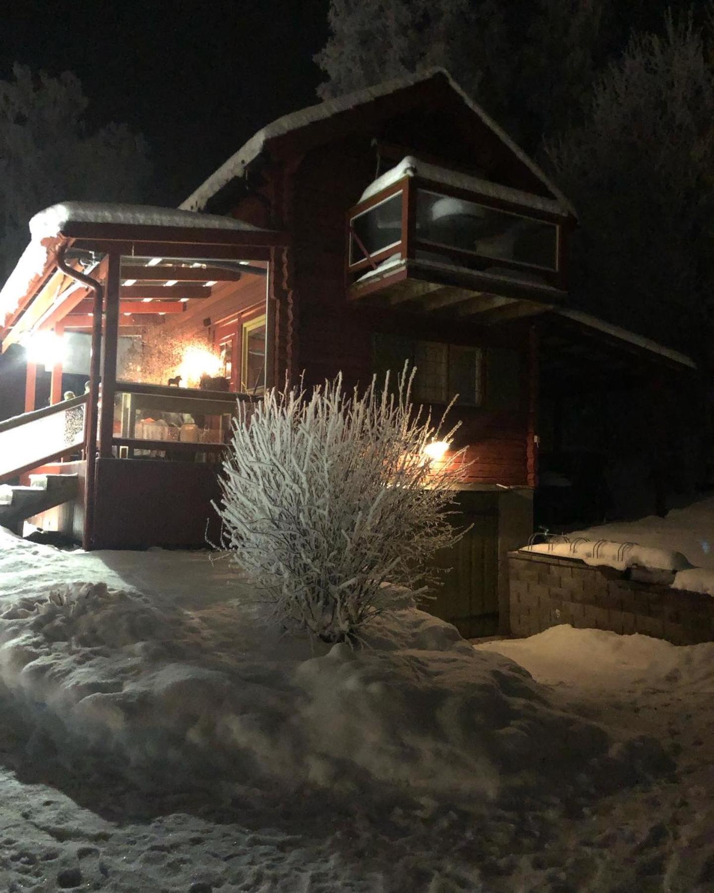 Photo 41