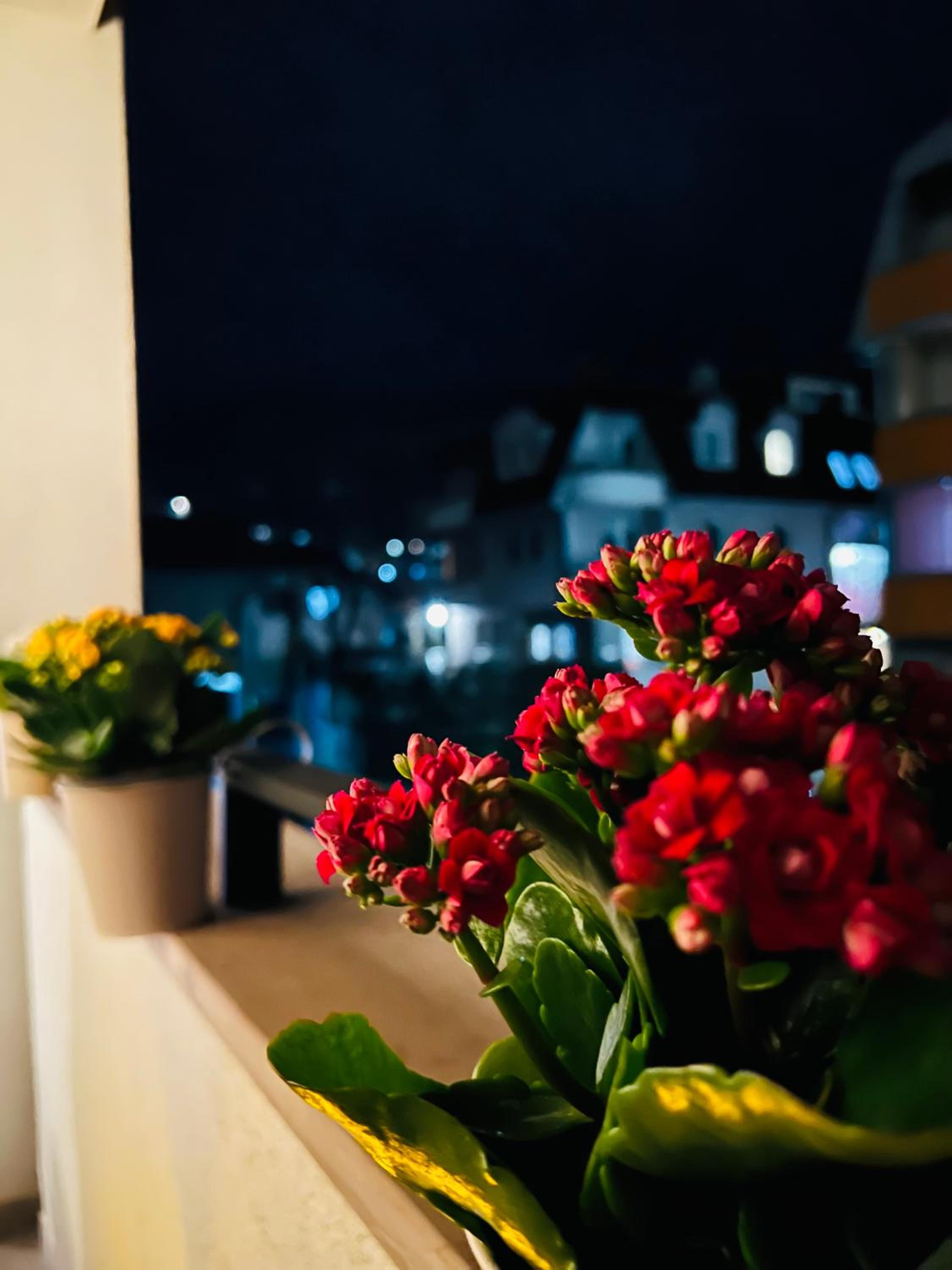 Apartman Jana Banjaluka