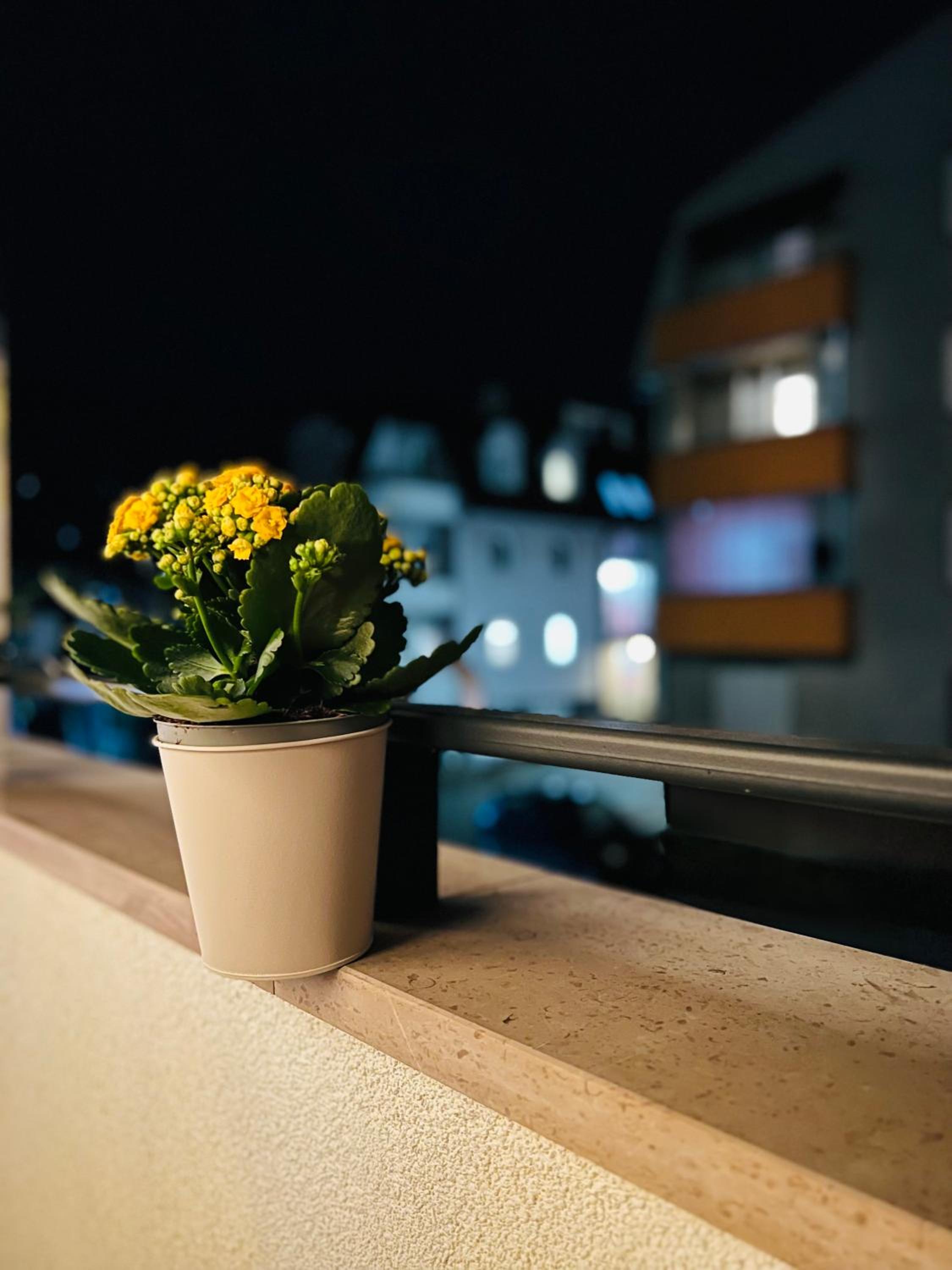 Apartman Jana Banjaluka