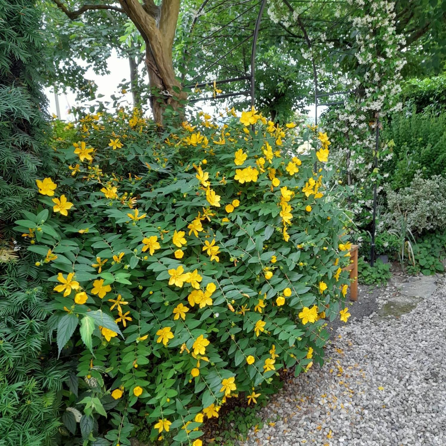Photo 25