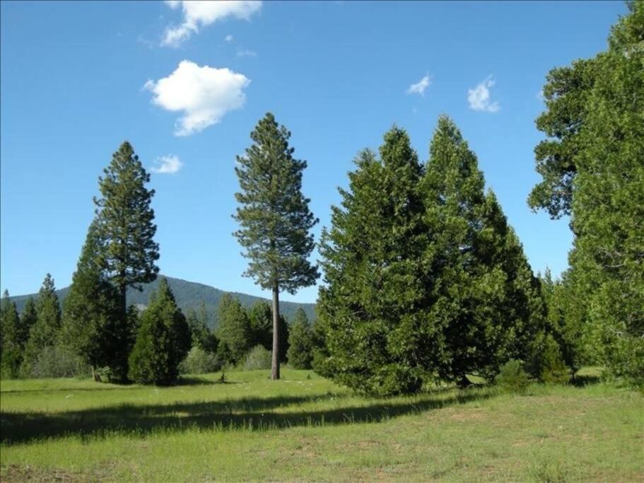 Ultimate Lassen House
