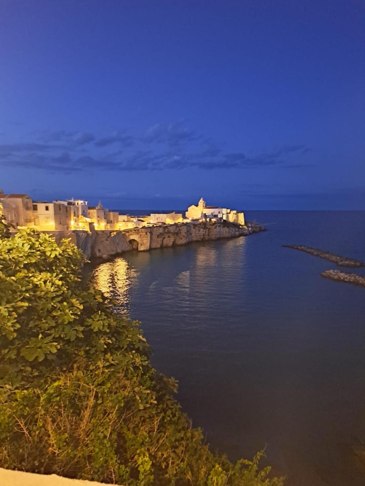 Palazzina in pieno centro storico di Vieste, con terrazzo sul Pizzomunno photo 2