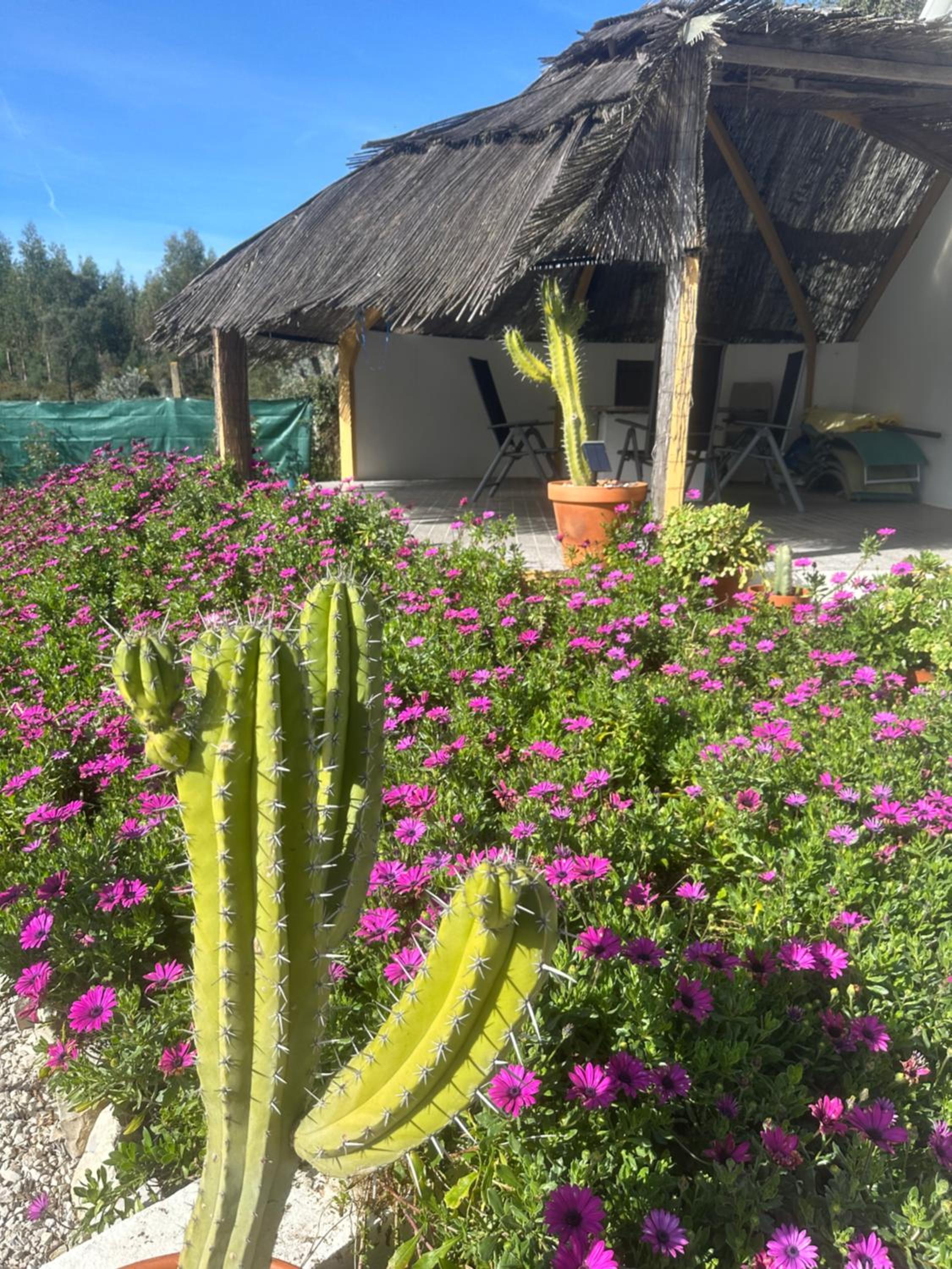 Villa Azul, Graça Portugal