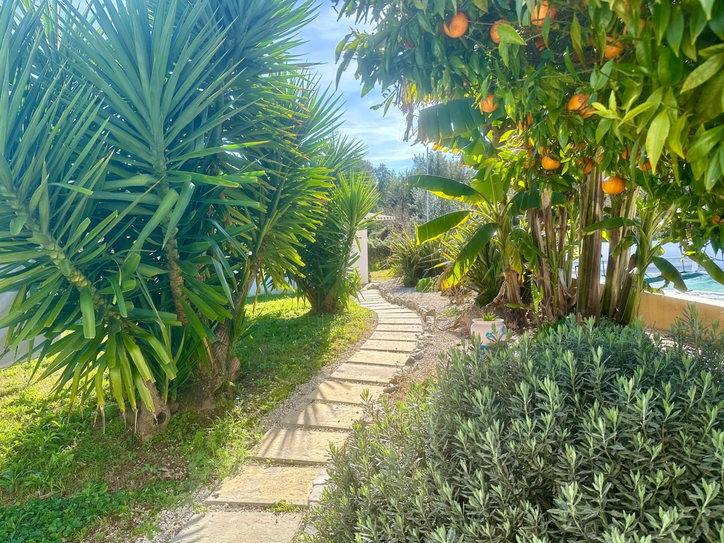 Villa Azul, Graça Portugal