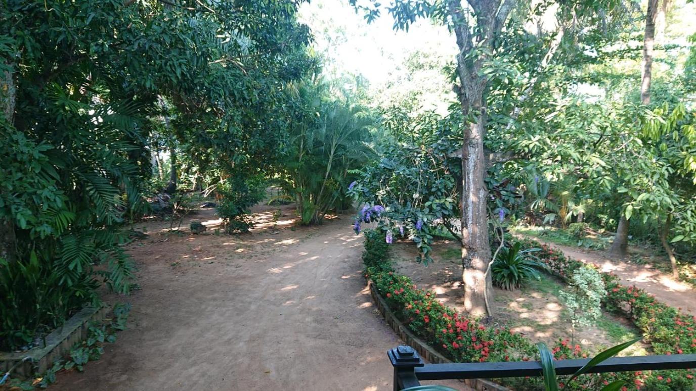 Leopard City Hostel Yala view 4