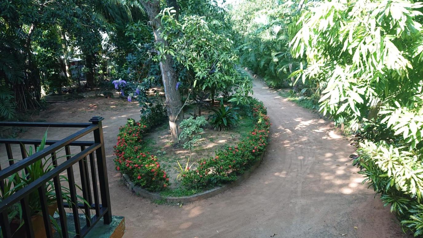 Photo 15