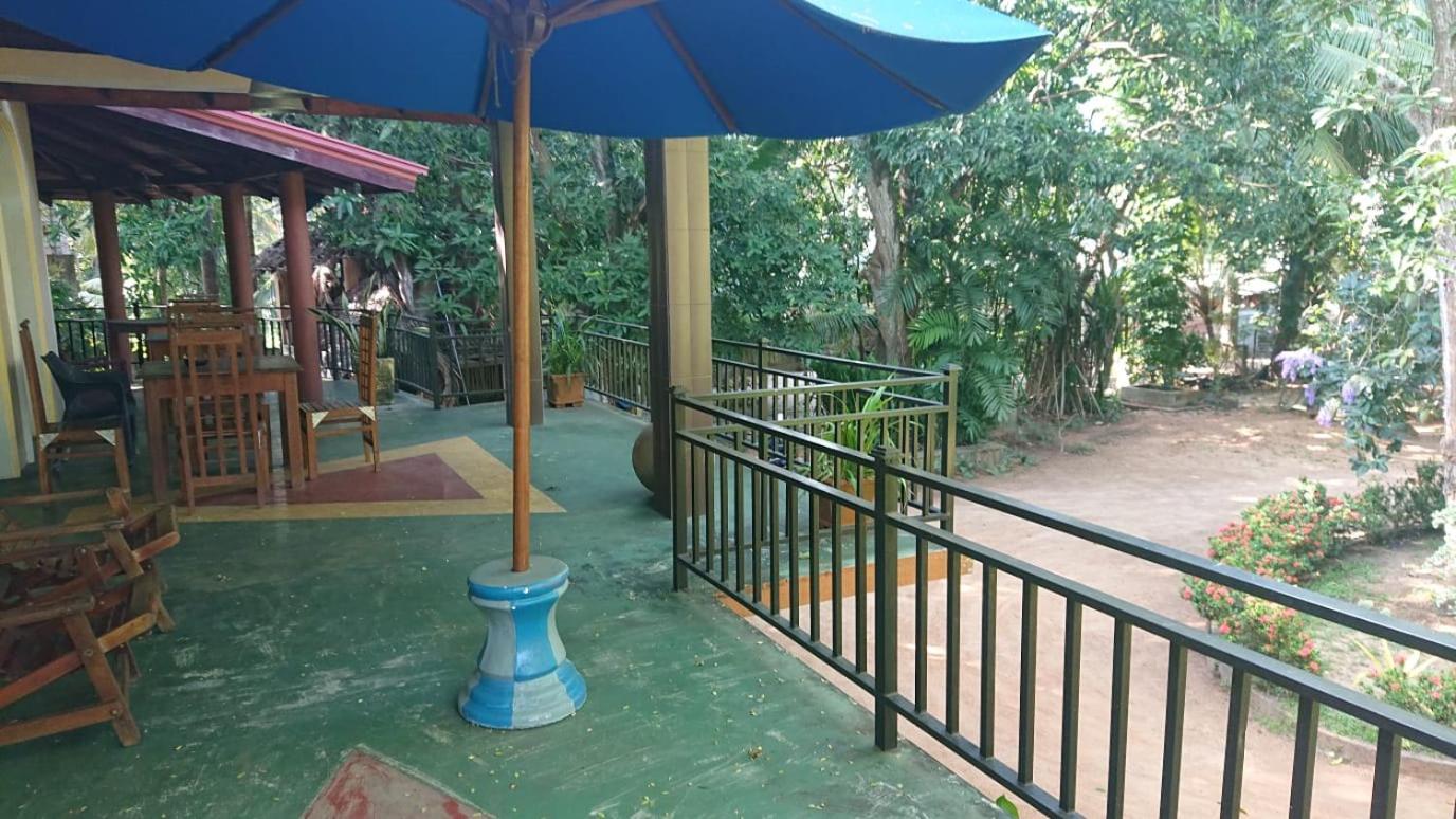 Photo 17
