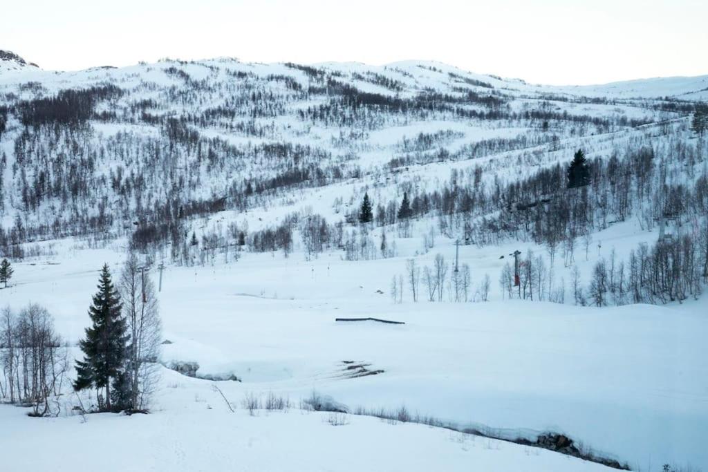 Photo 45