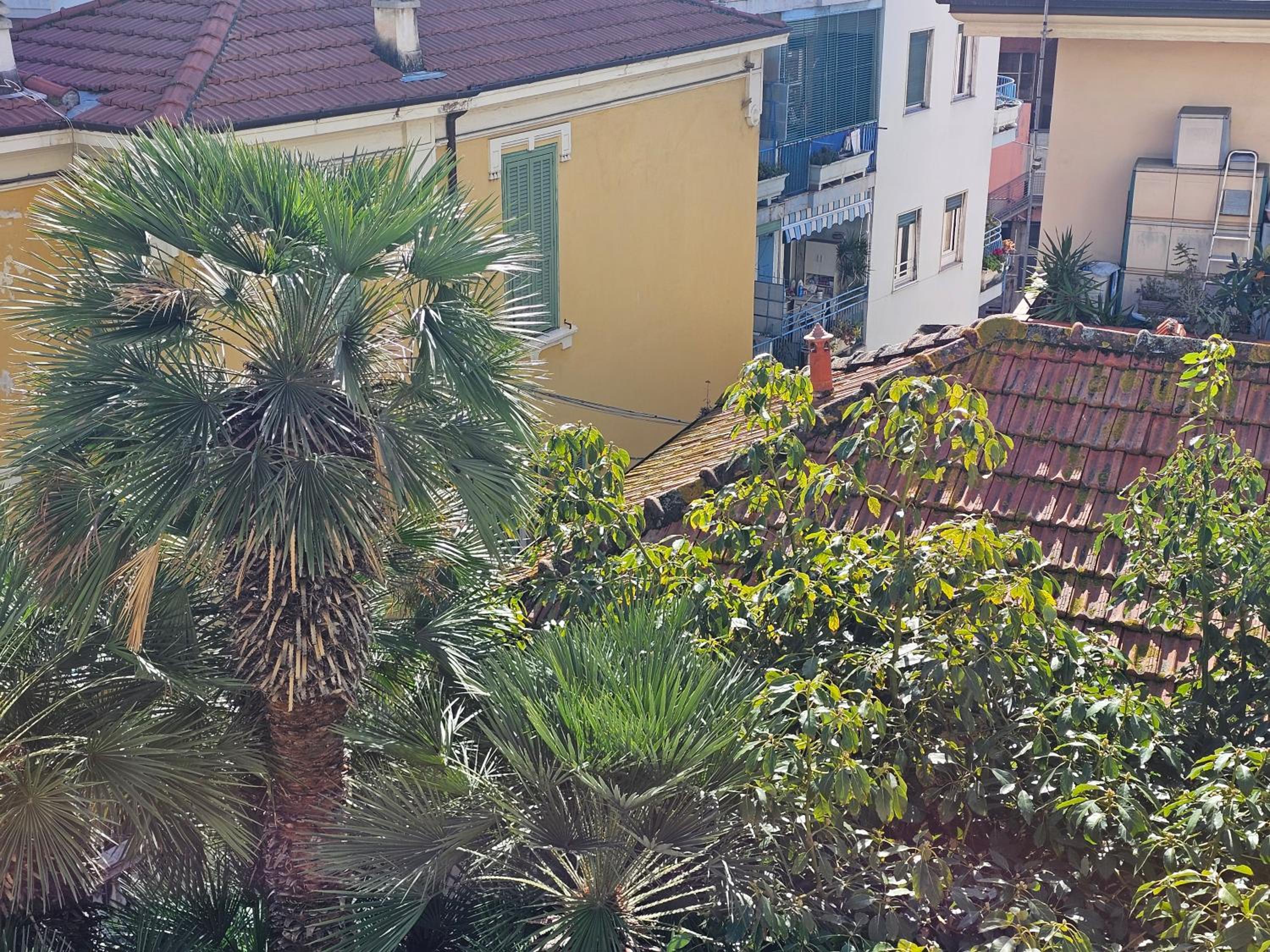 IL SOLE di SANREMO
