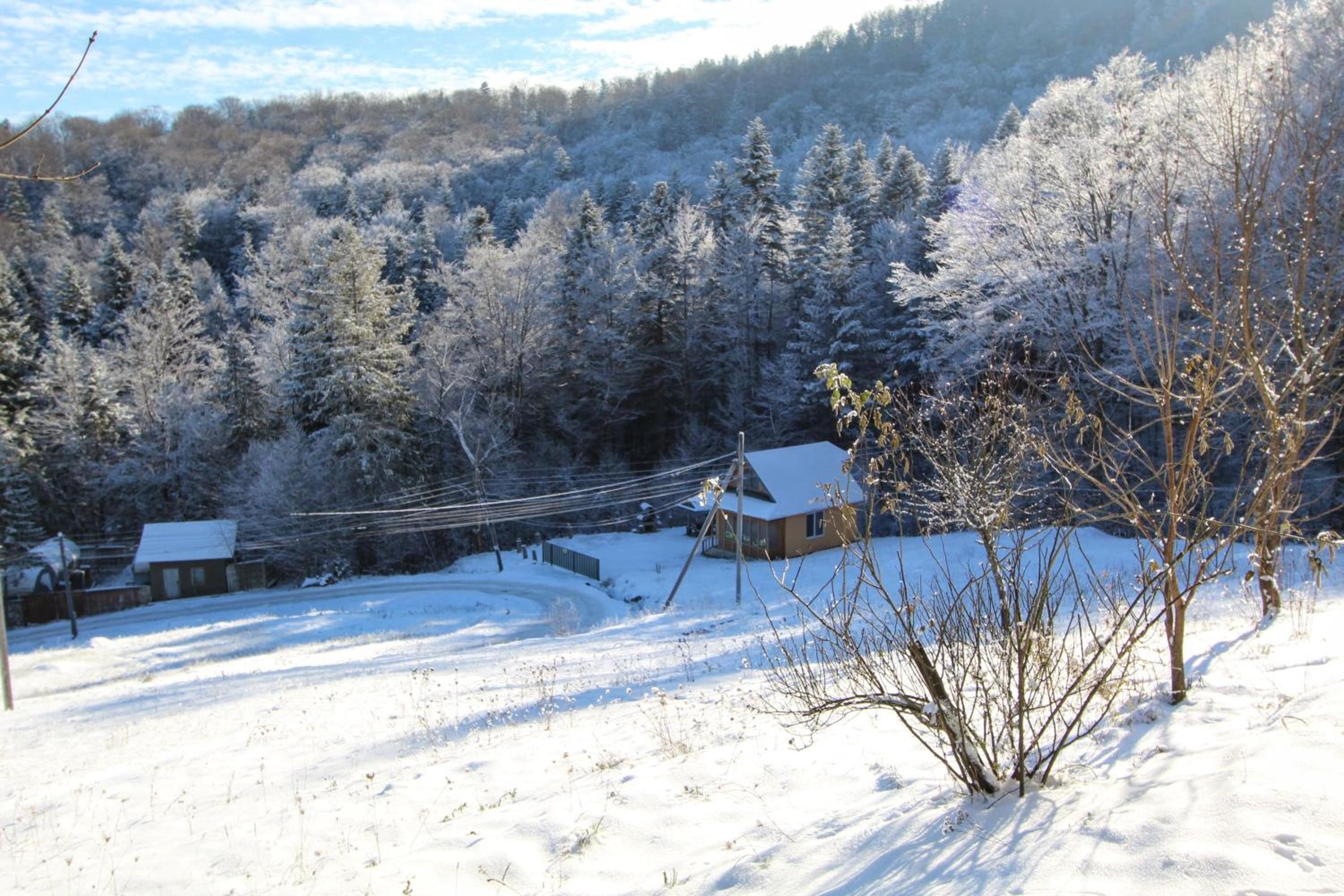 Gribochok