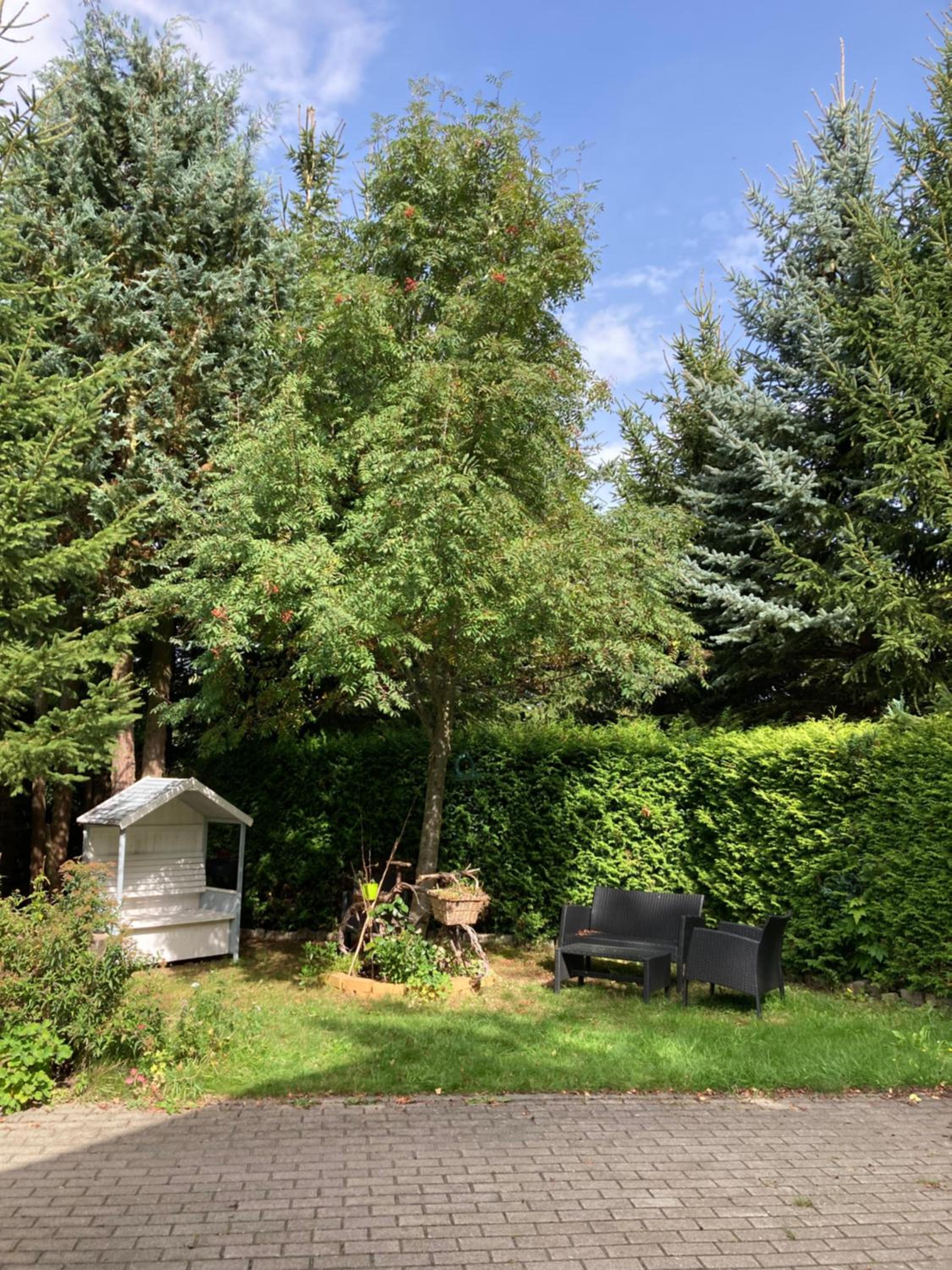 Waldblick