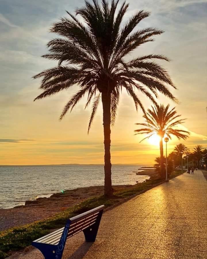 Beachapartment photo 4