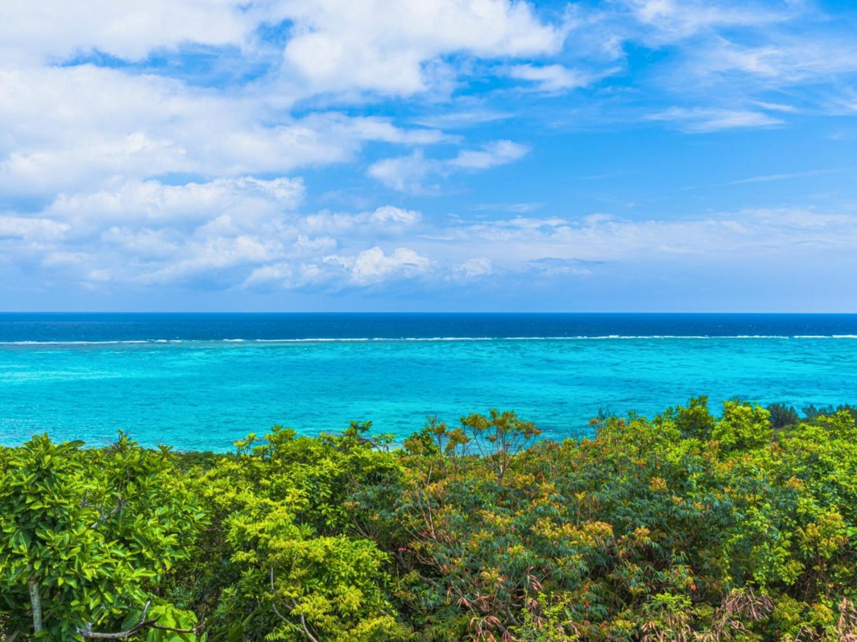 石垣ヒルズ® / ishigaki Hills®