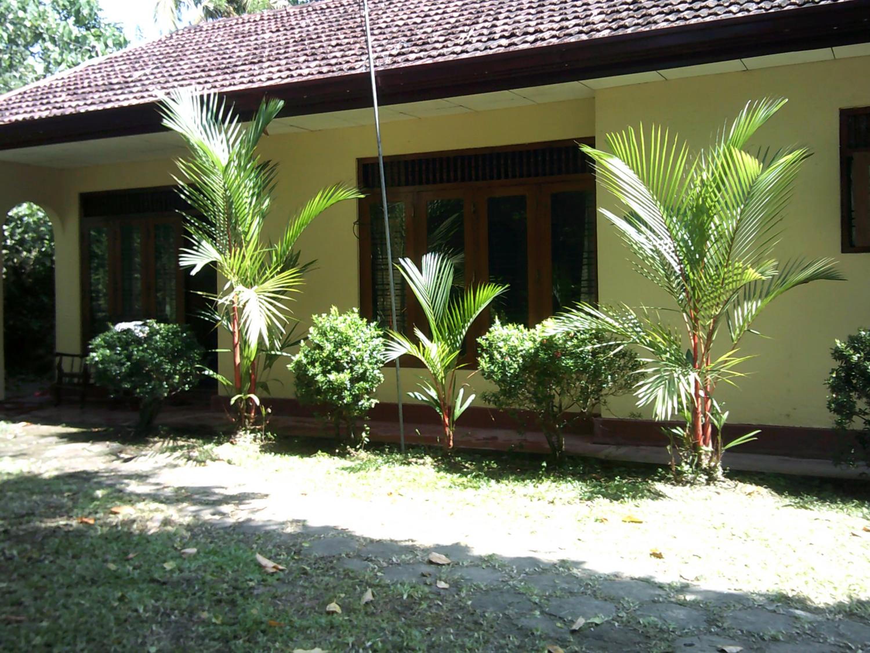 Charming villa-walliwala view 5