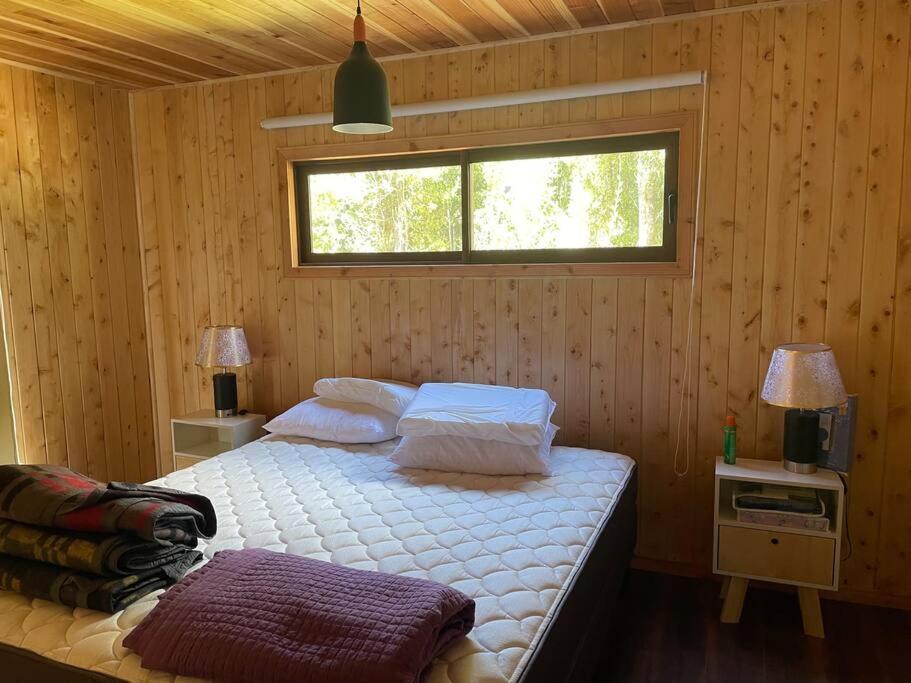 Cabaña rio trancura