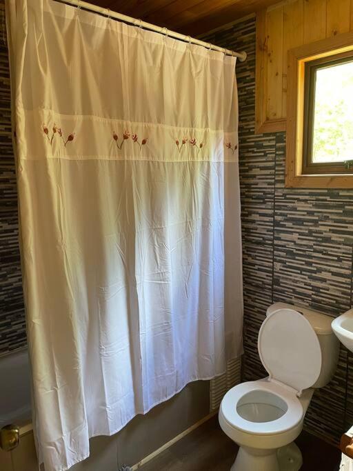 Cabaña rio trancura