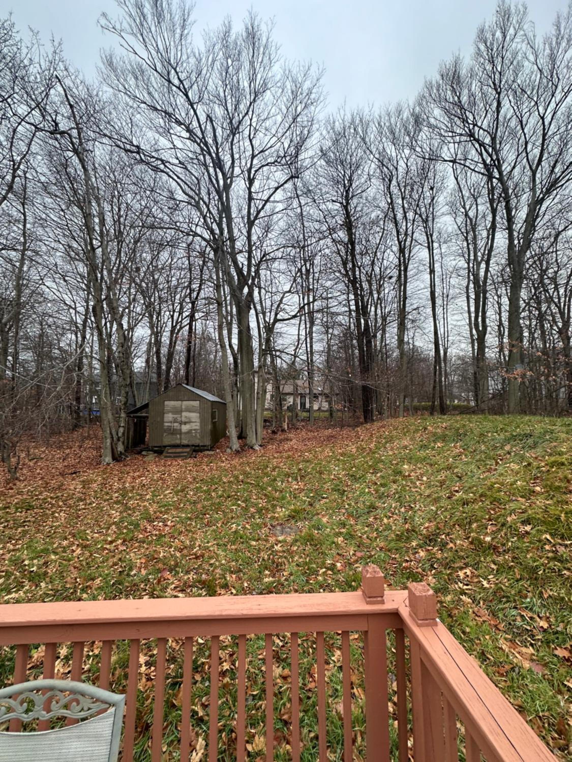 Home sweet home in woods view 3