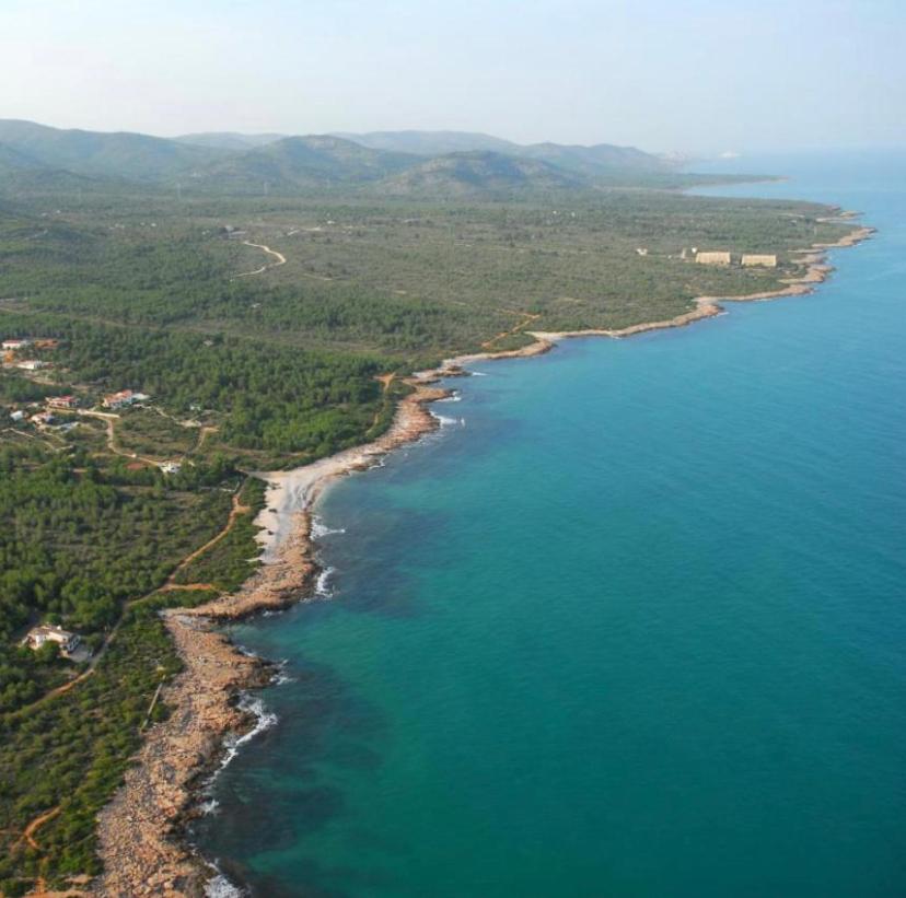 EL MARINERITO Alcocebre