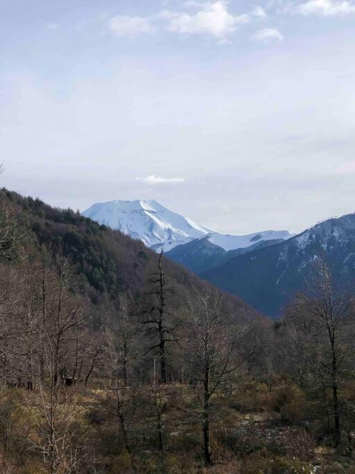 Refugio entre Montañas - Malalcahuello