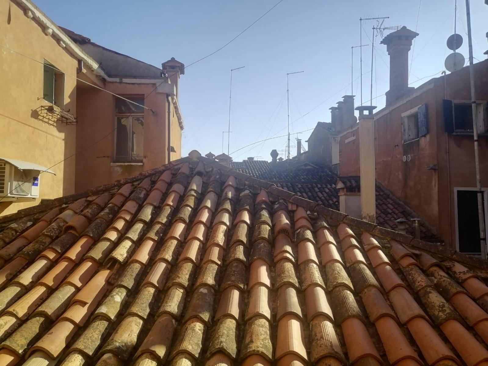 roof