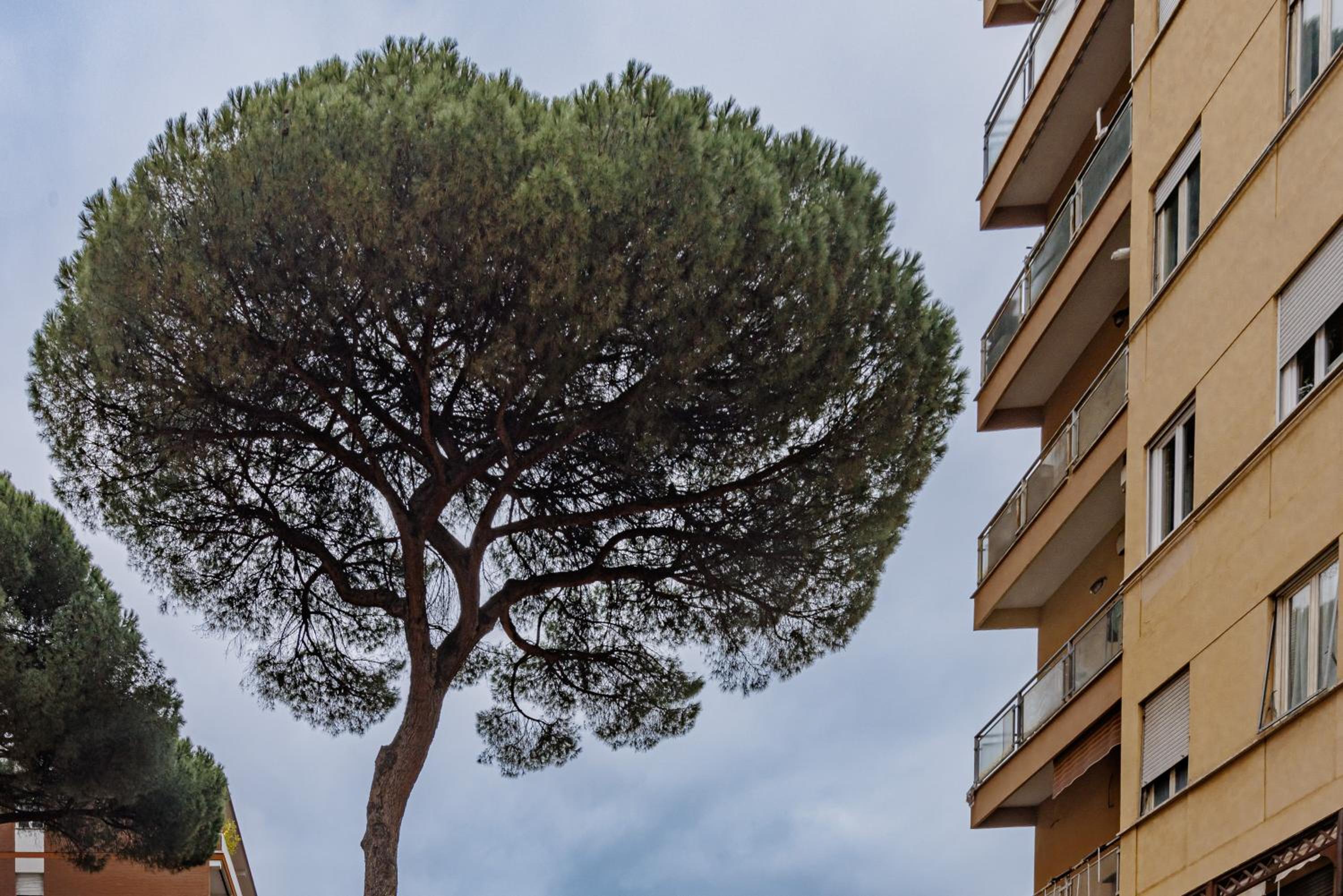 Pigneto Smart Apartment