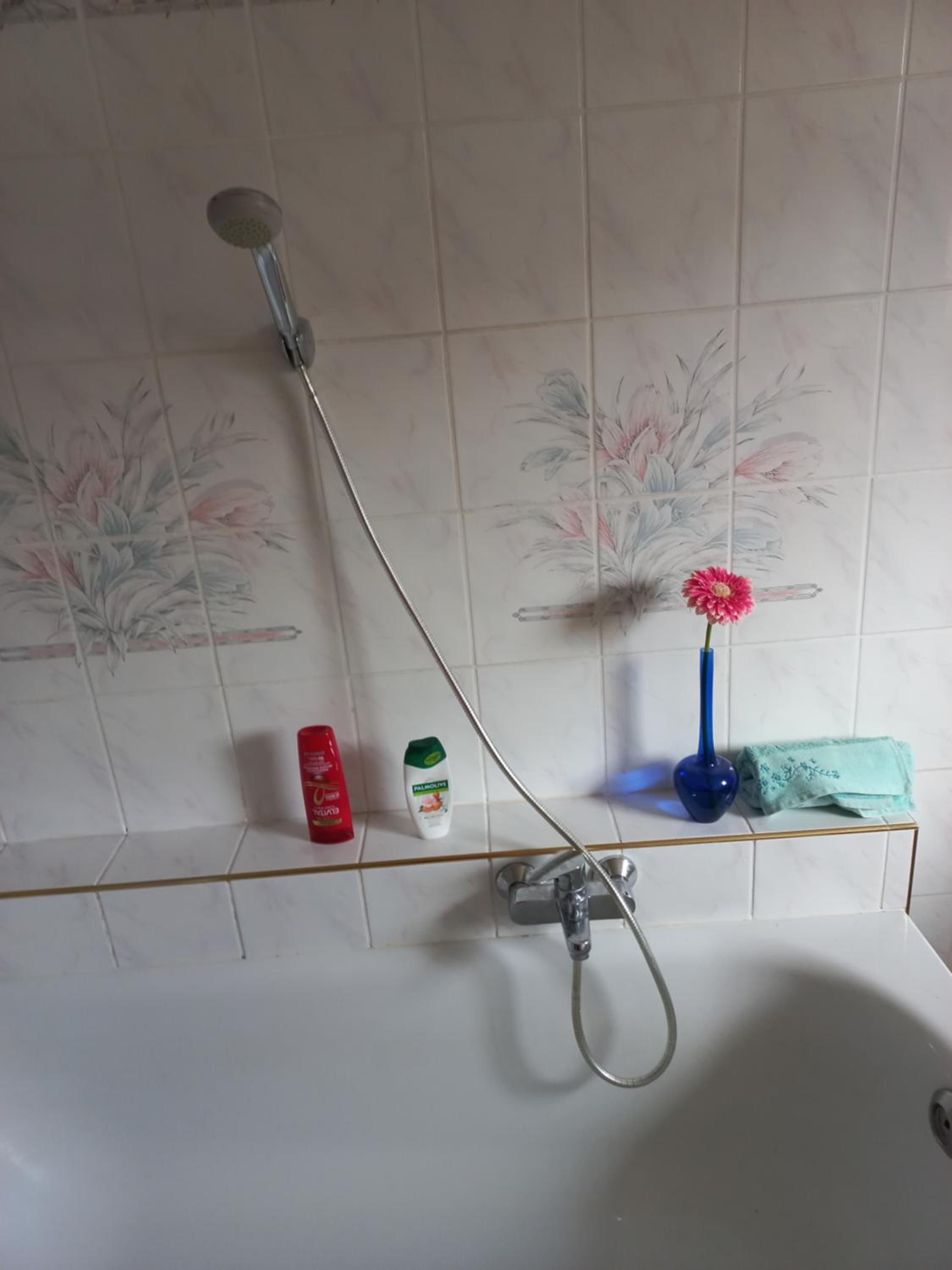Zimmer und Apartment Rosi