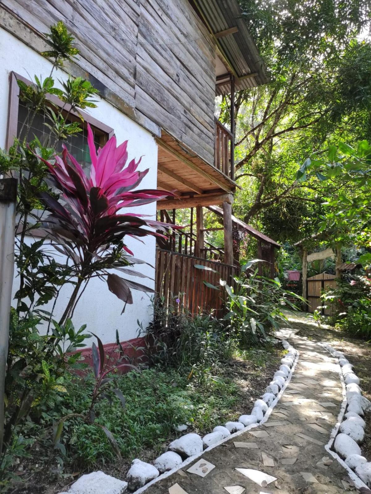 Papaya Wildlife Lodge