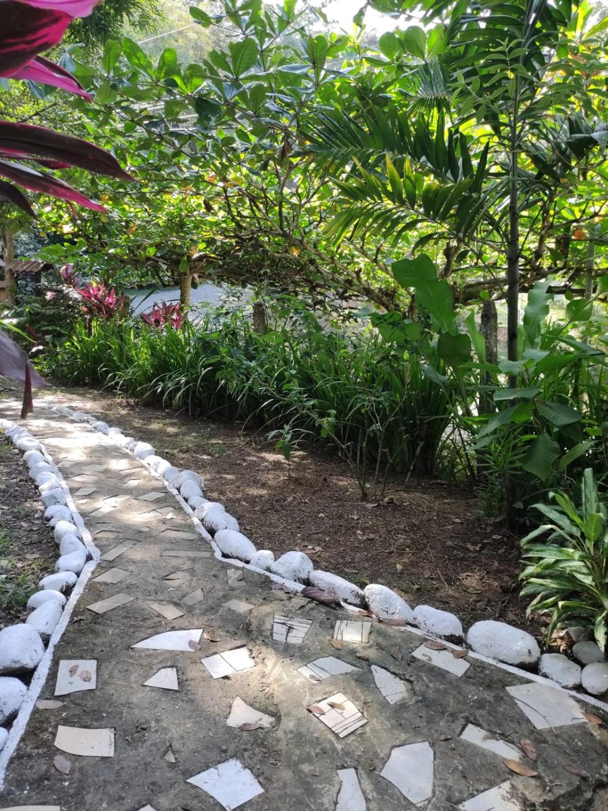 Papaya Wildlife Lodge