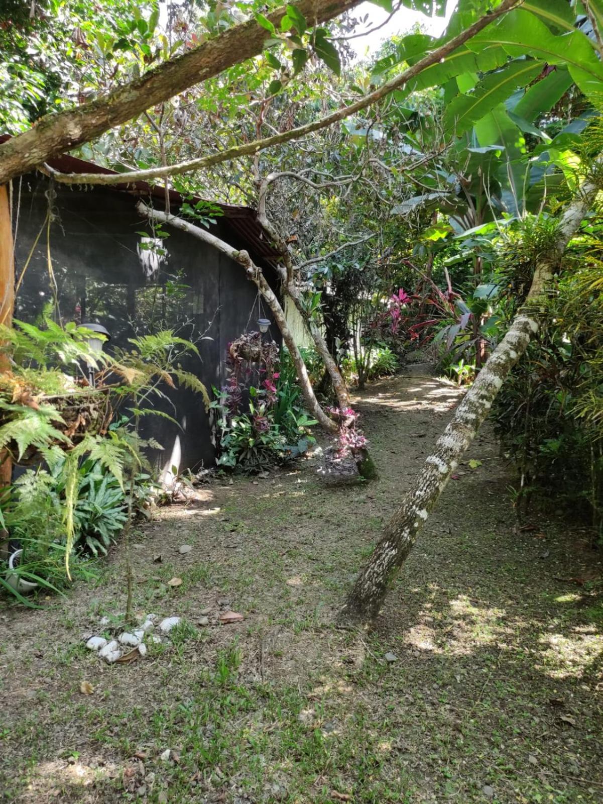 Papaya Wildlife Lodge
