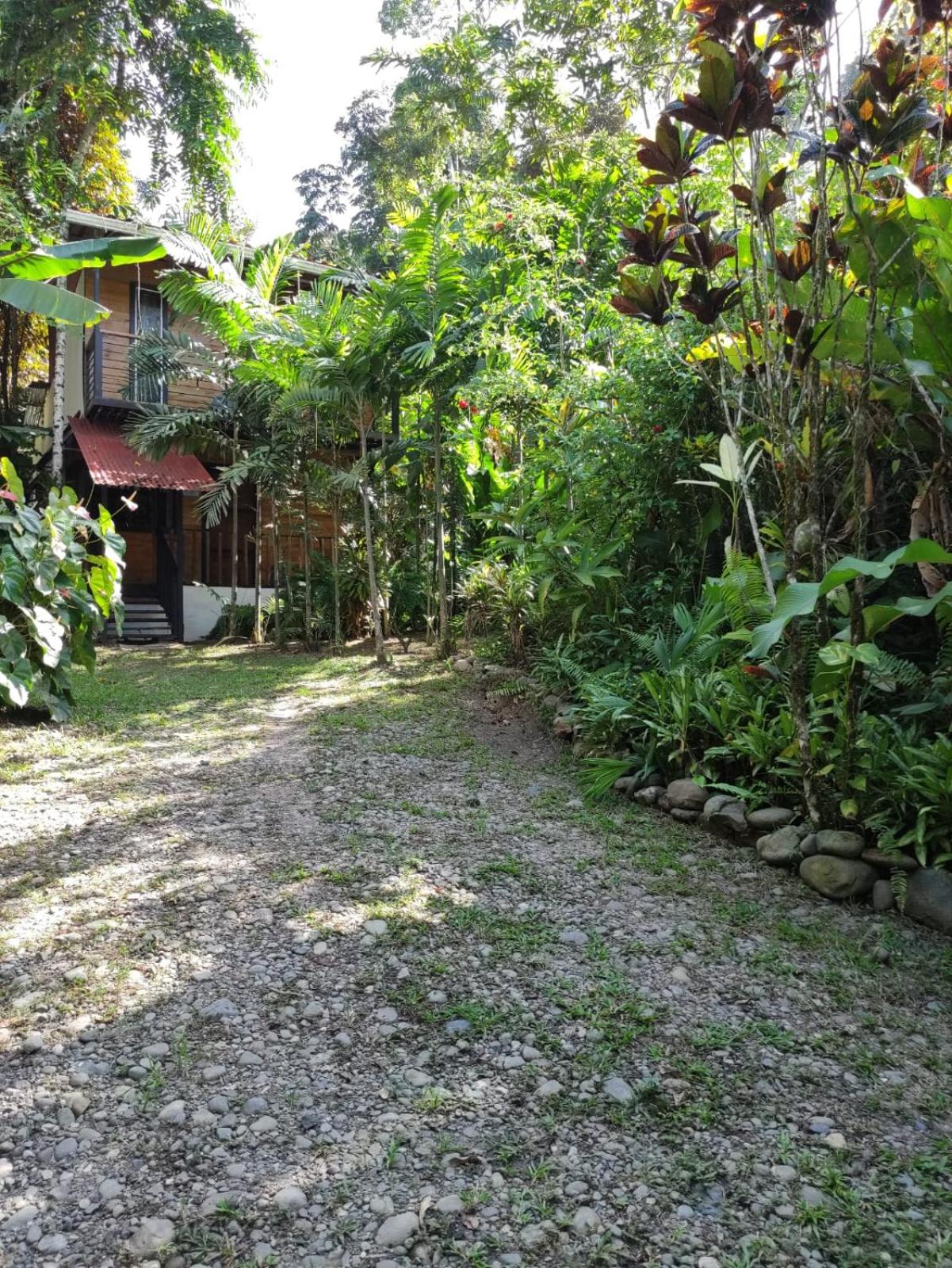Papaya Wildlife Lodge
