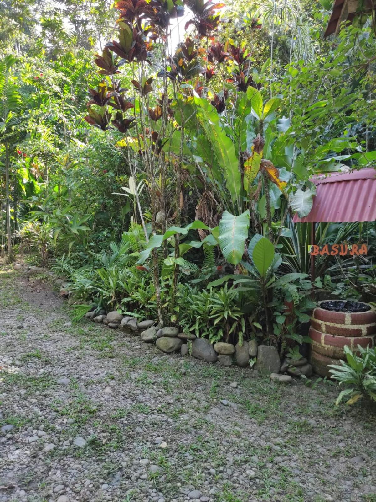 Papaya Wildlife Lodge