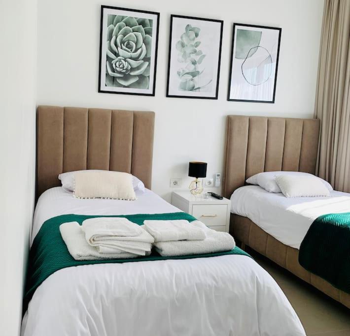 Green Luxe Apartment