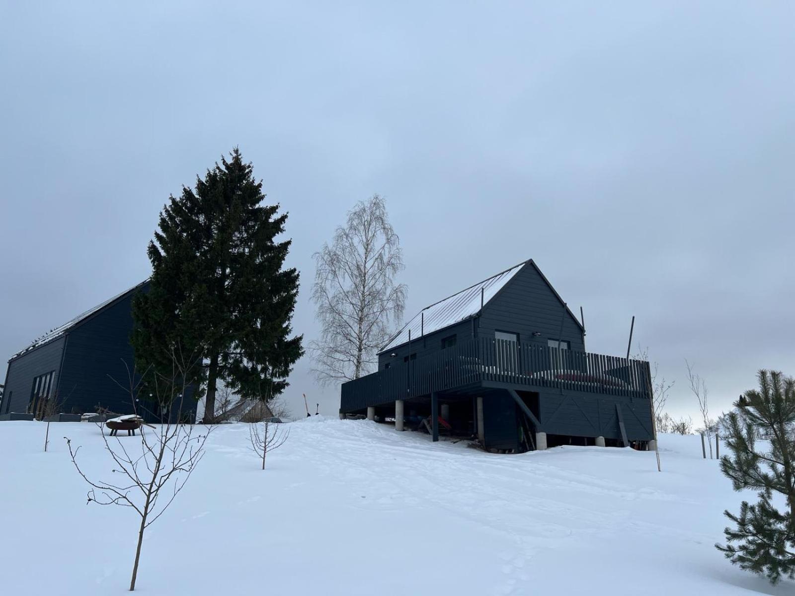 Bear House