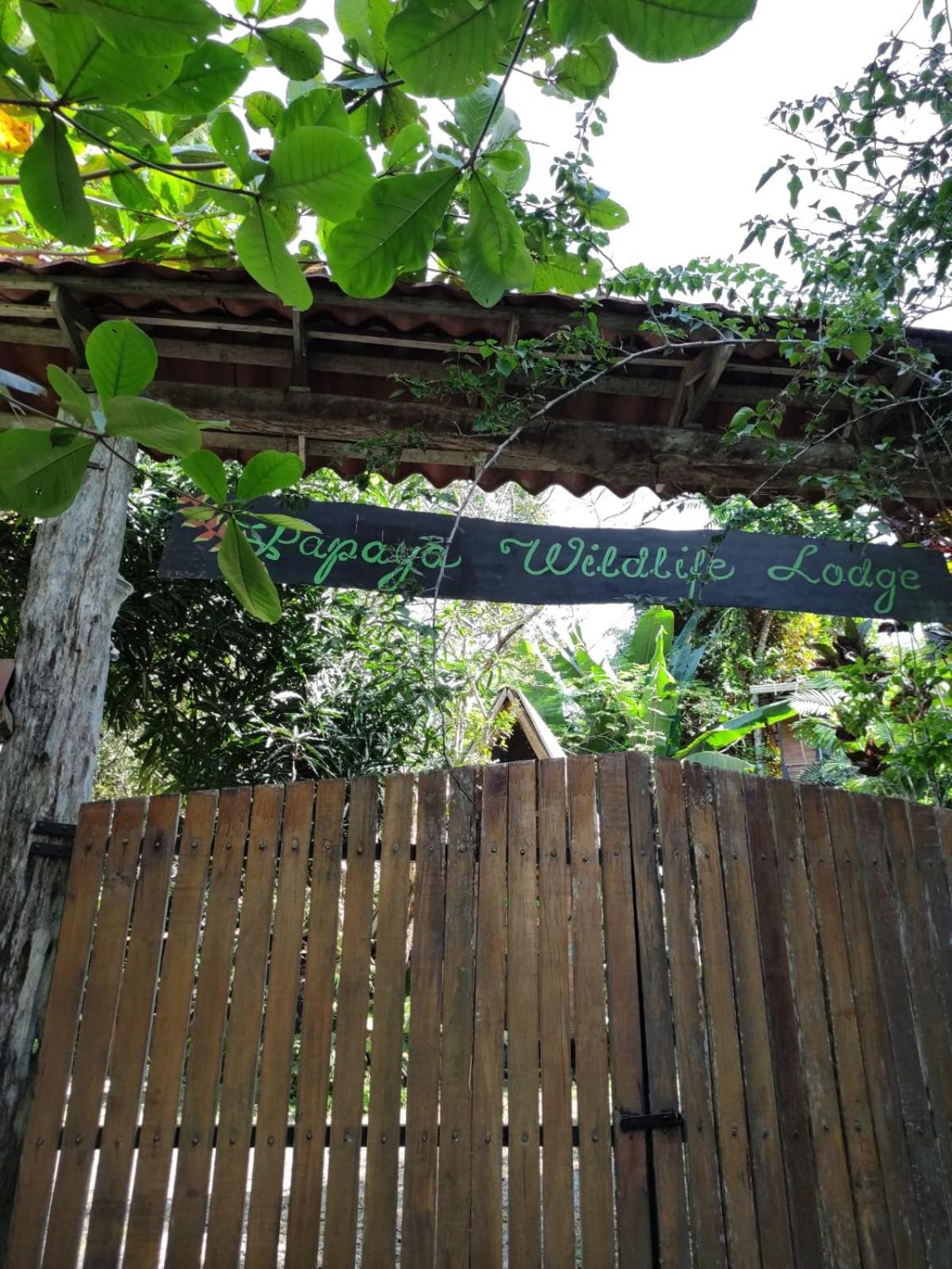 Papaya Wildlife Lodge