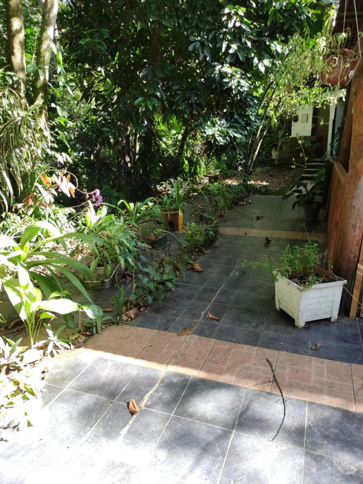 Papaya Wildlife Lodge