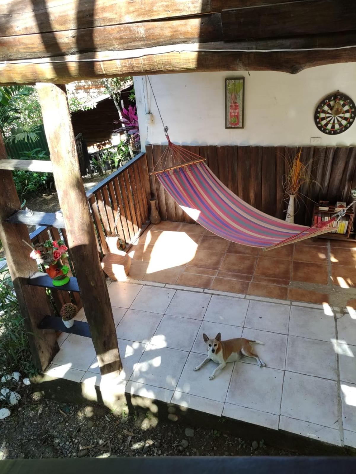 Papaya Wildlife Lodge