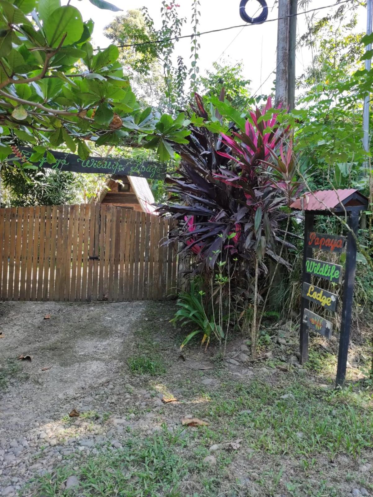 Papaya Wildlife Lodge