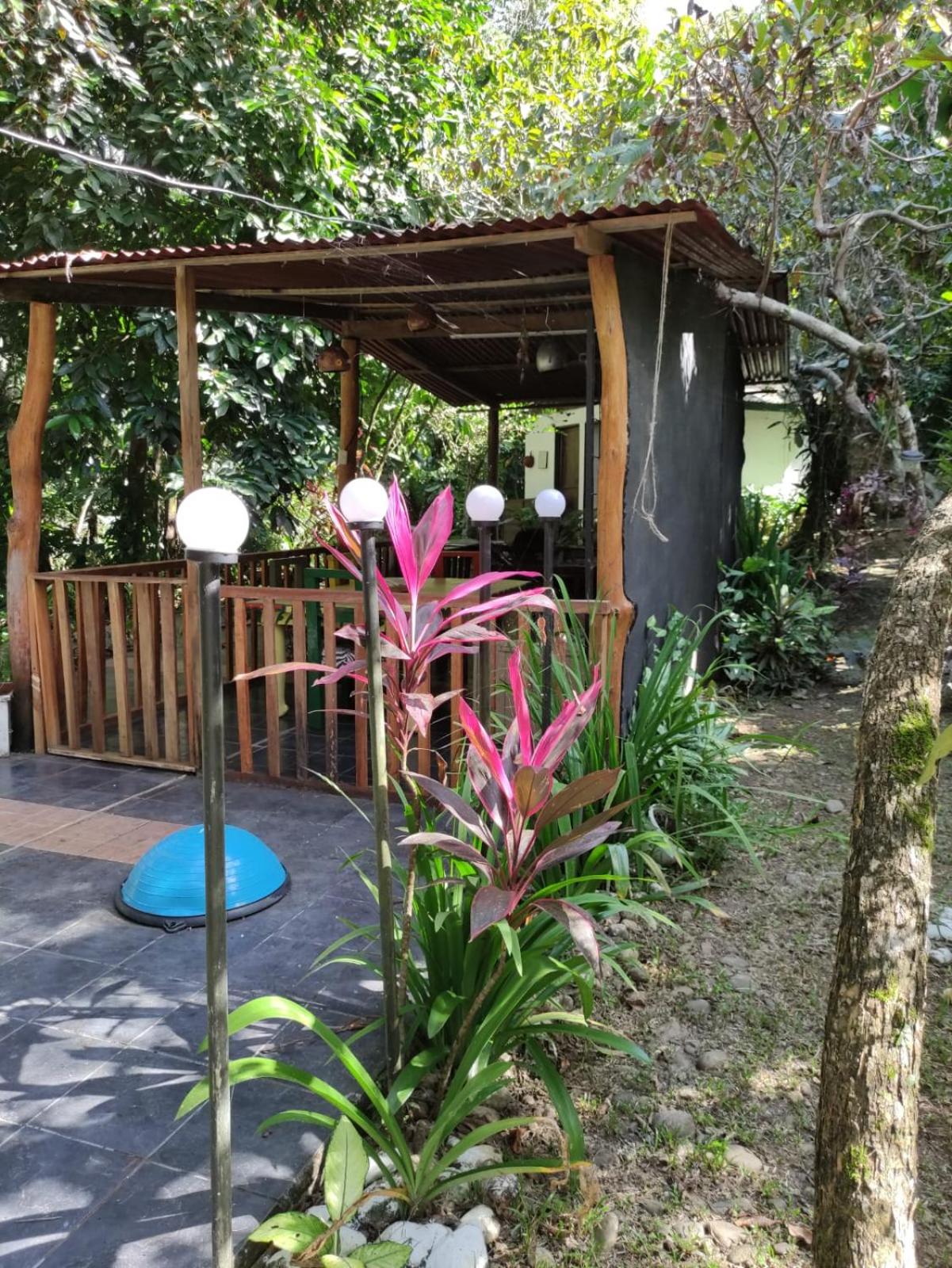 Papaya Wildlife Lodge