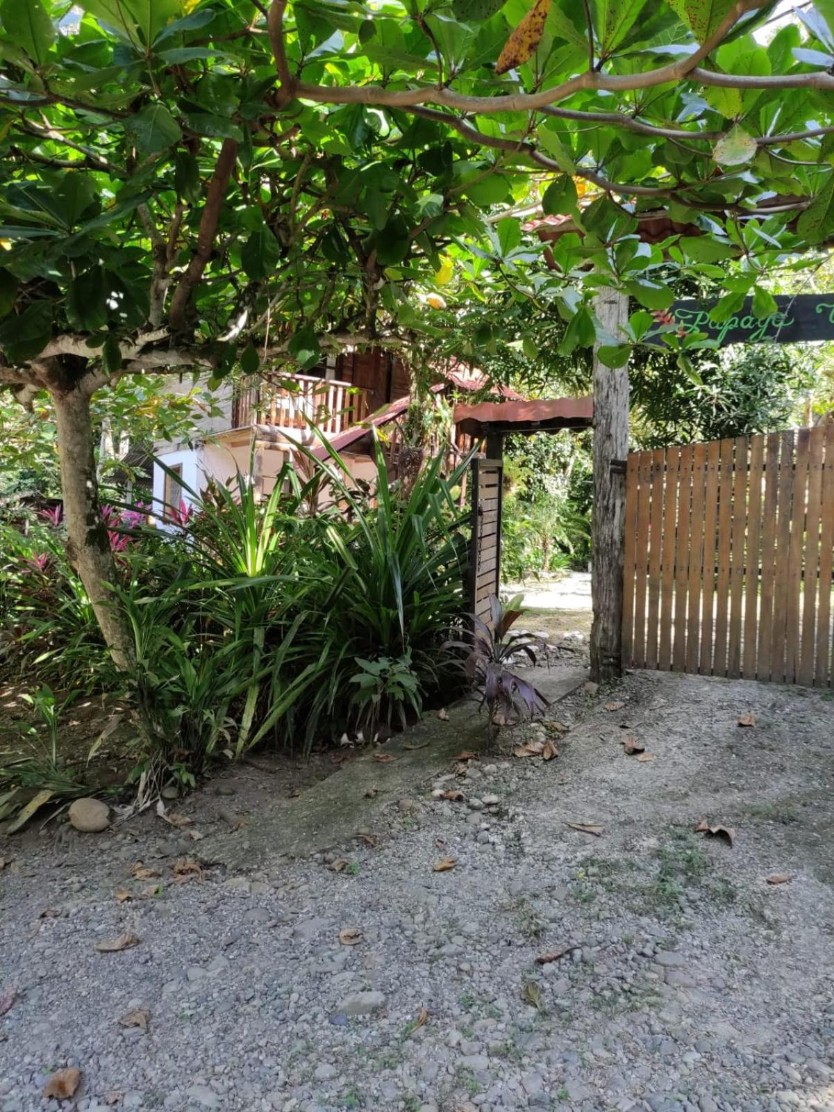 Papaya Wildlife Lodge