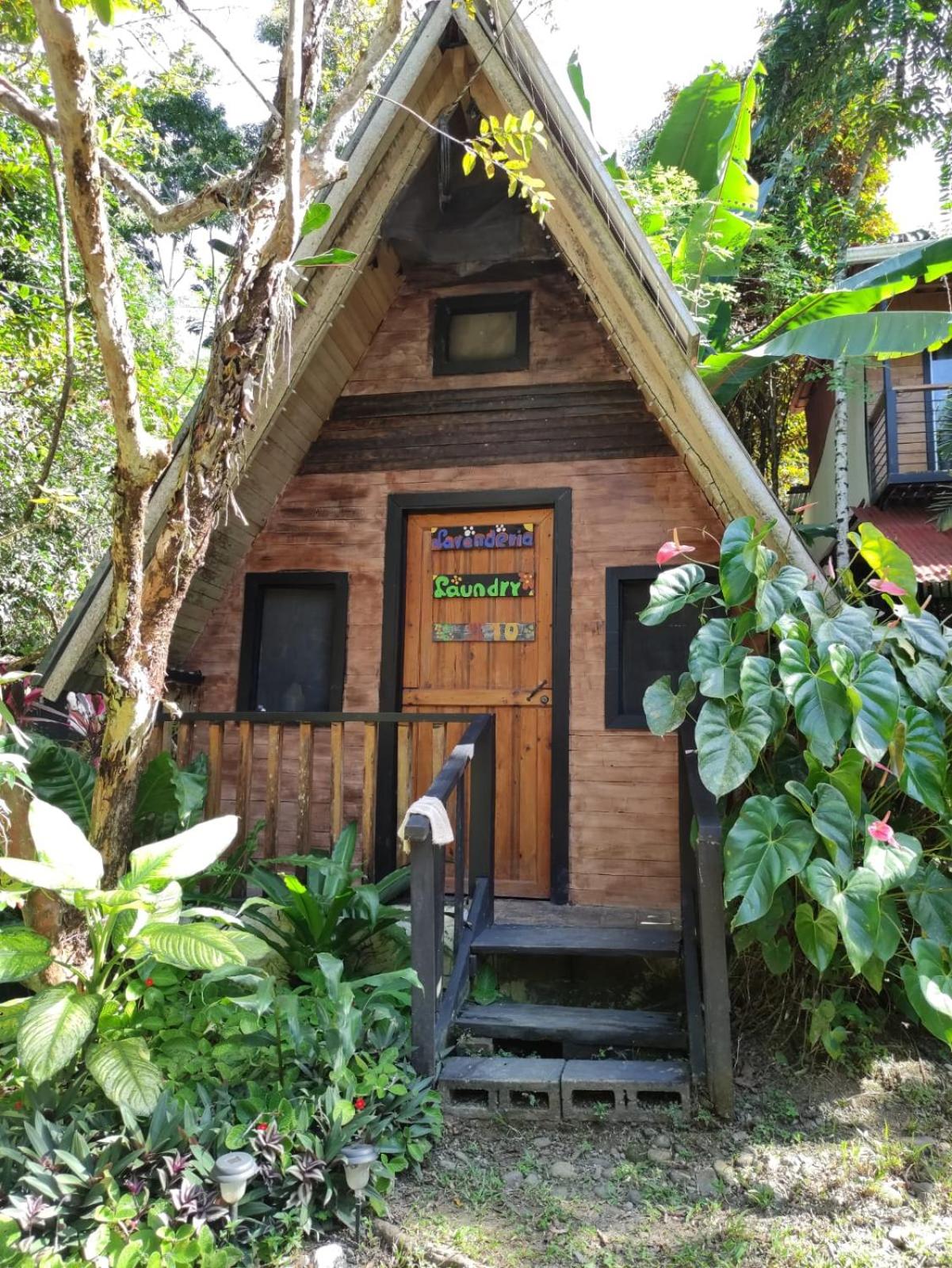 Papaya Wildlife Lodge