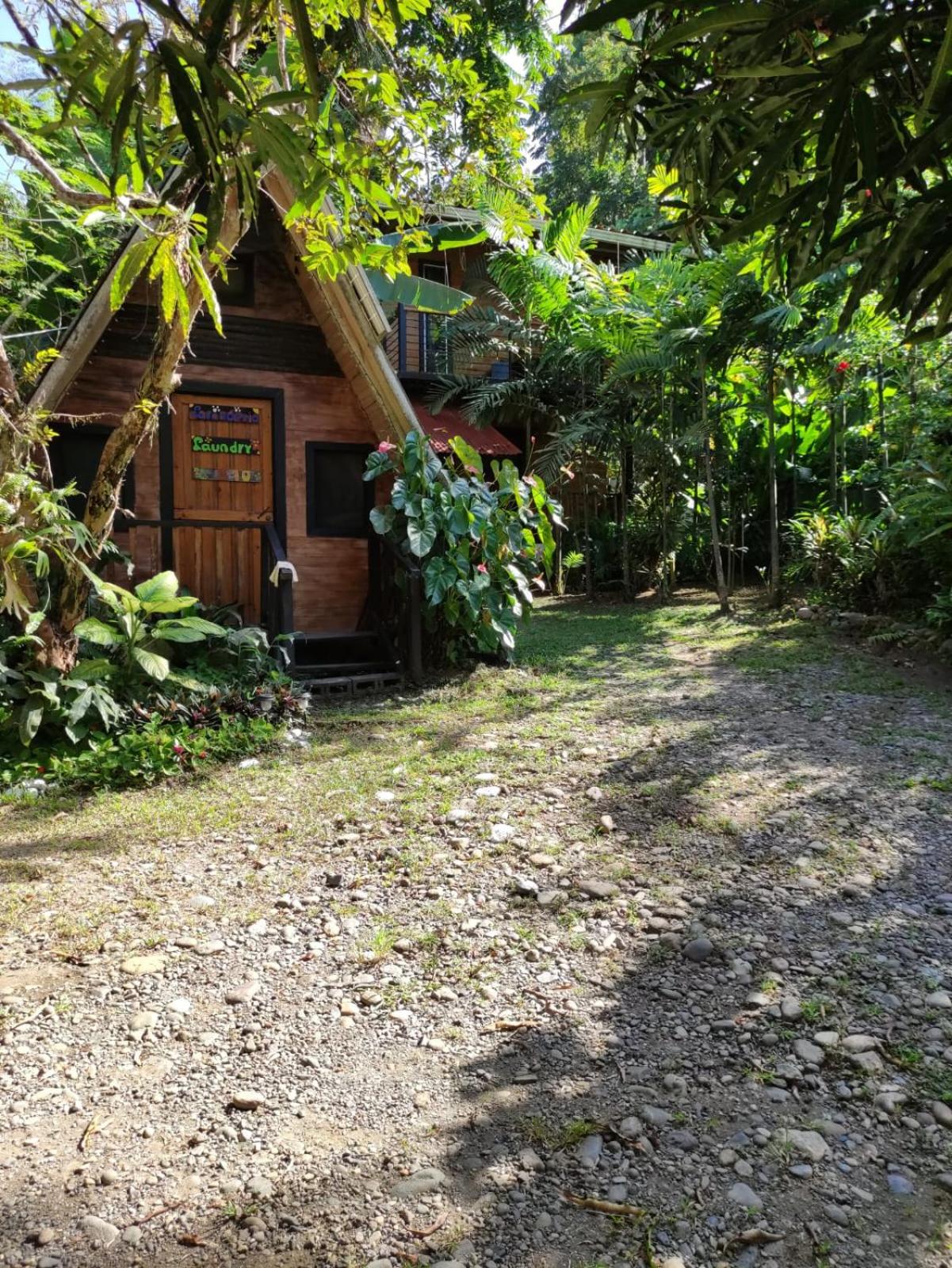 Papaya Wildlife Lodge