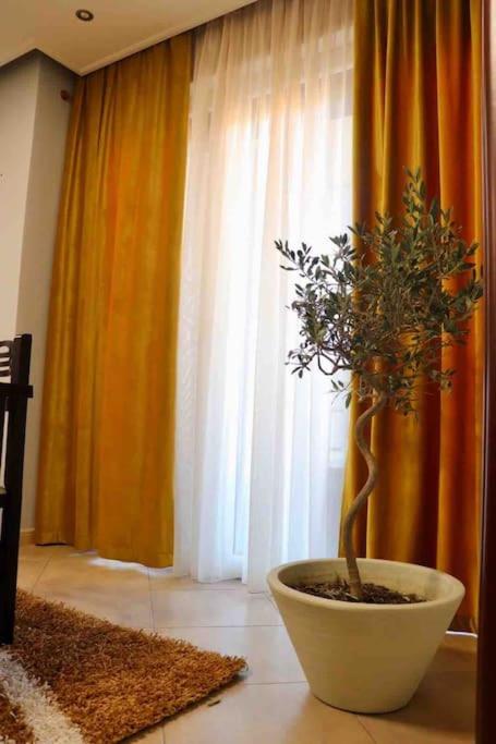 Olive Apartment Downtown Tirana