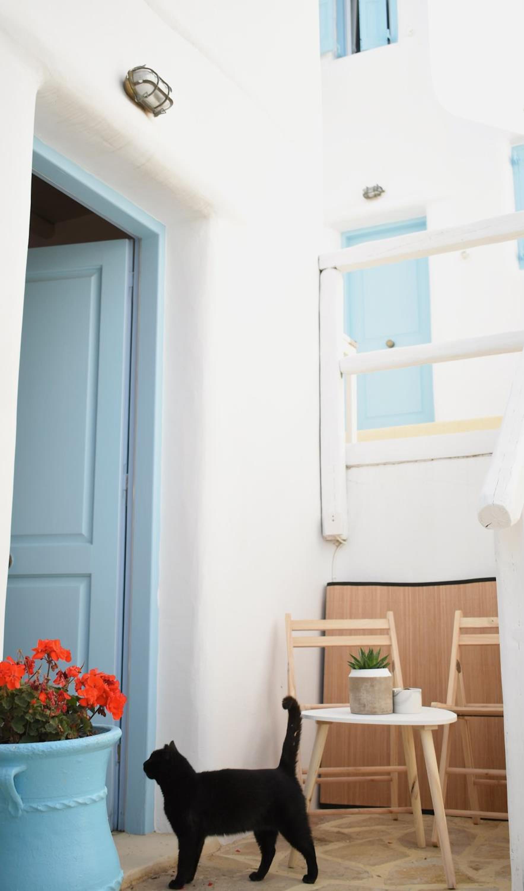 NISOS Home Stay