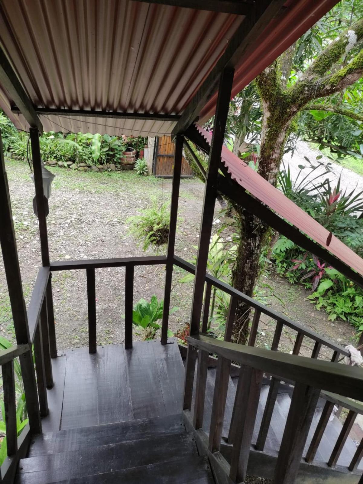 Papaya Wildlife Lodge