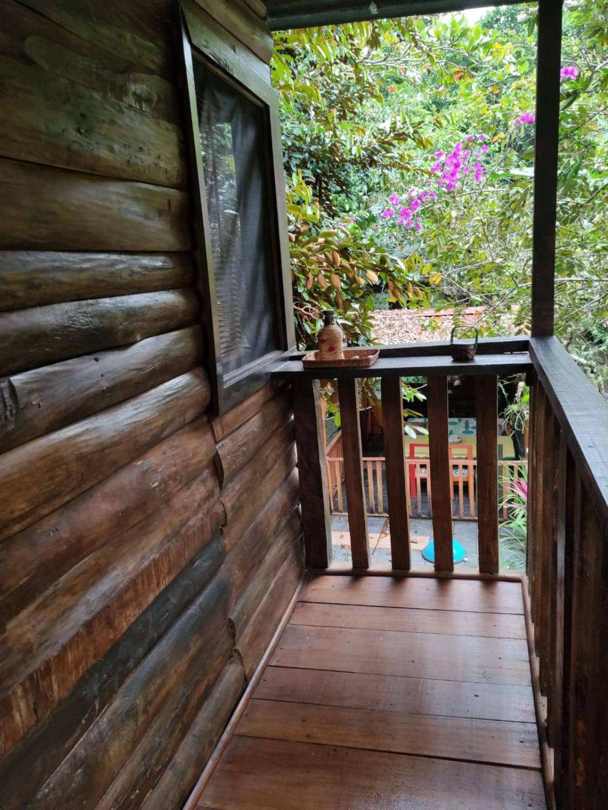 Papaya Wildlife Lodge